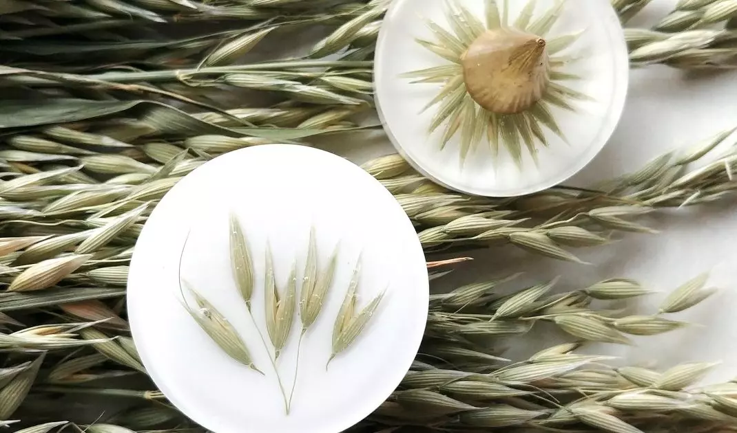 Knob with green oats