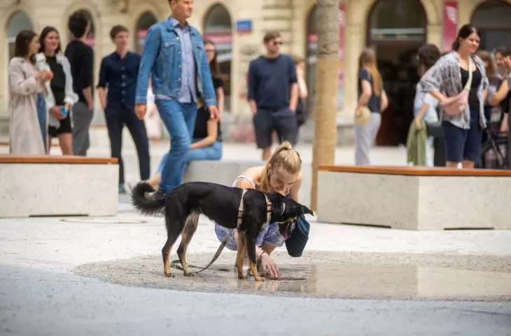 Plac Pięciu Rogów - Warszawa, po przebudowie - VII 2022