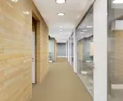 DWL Linoleum