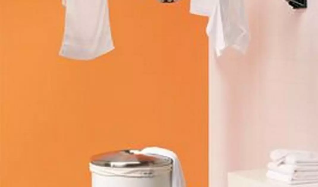 Wall-mounted hanger