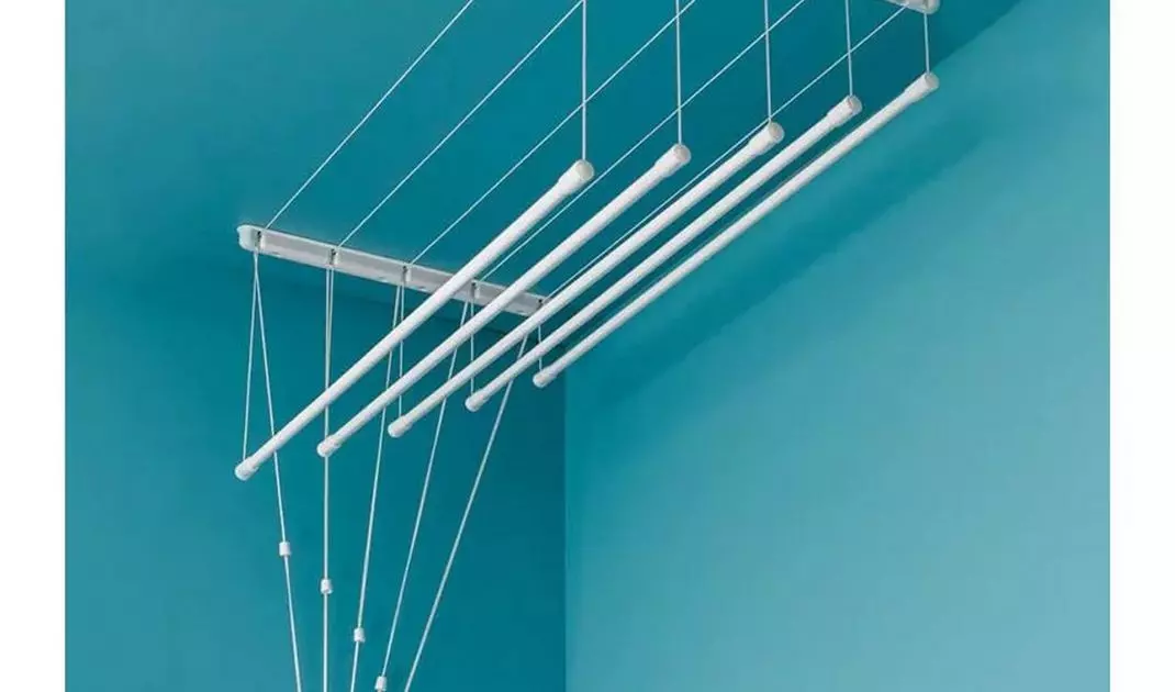 Ceiling-mounted laundry dryer