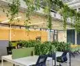 example of using plants in the office