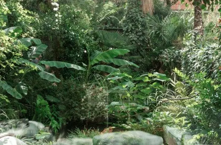 przykład wykorzystania roślin w biurze