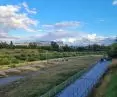 A view of the site where the longer span of the Berdychowska footbridge over the Warta River is to be built 