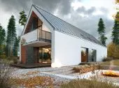 Idealny 1 –  tył
