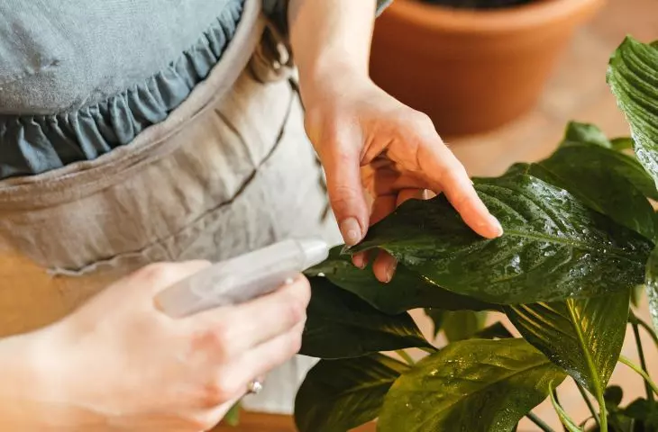 Homemade plant sprinkler