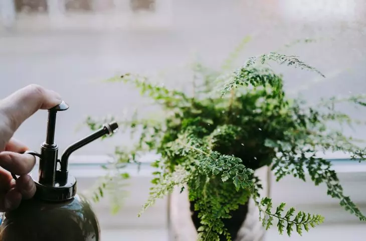Homemade plant sprinkler