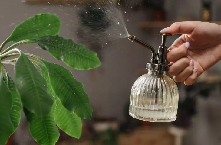 Homemade plant sprinkler