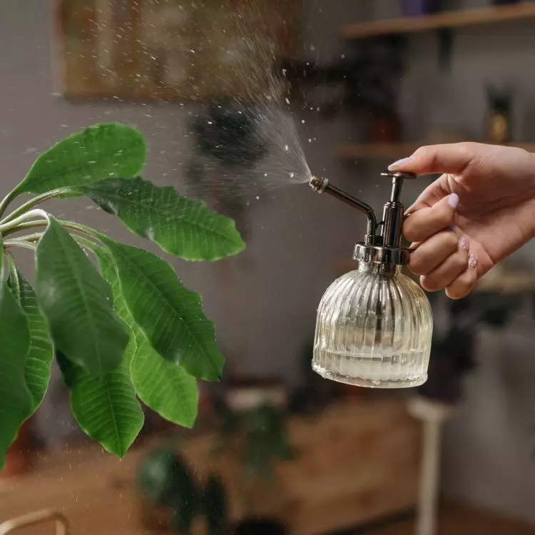 Homemade plant sprinkler