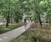 Celem autorów było zachowanie istniejącego drzewostanu