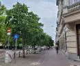 Row of hazel trees to be cut down at 27 Grudnia Street in Poznan