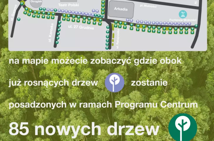 Information graphics (without indicating the dregs that will be removed)   