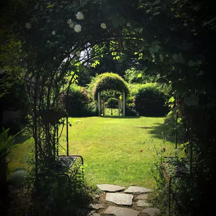 The most natural way to divide space in the garden is with plants