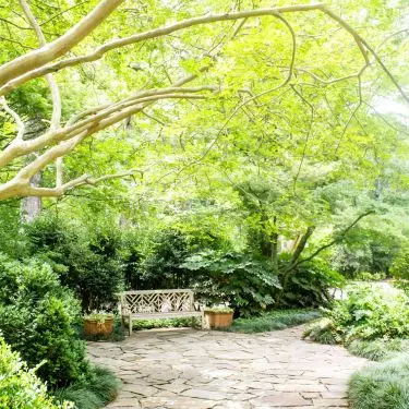 Stone paths blend beautifully with greenery 