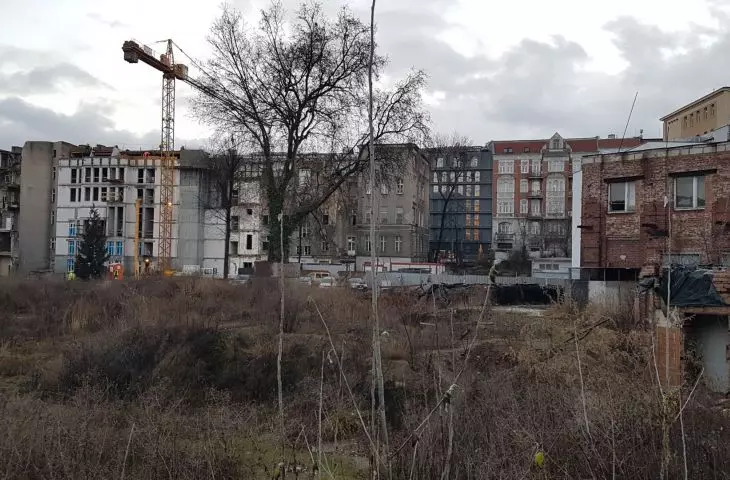 Site of former hospital after demolition and tree felling
