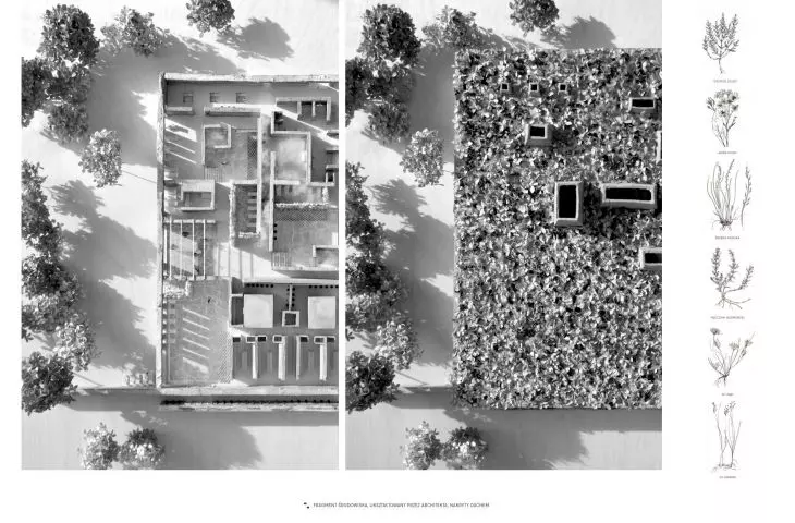 fragment środowiska ukształtowanego przez architekta, nakryty dachem