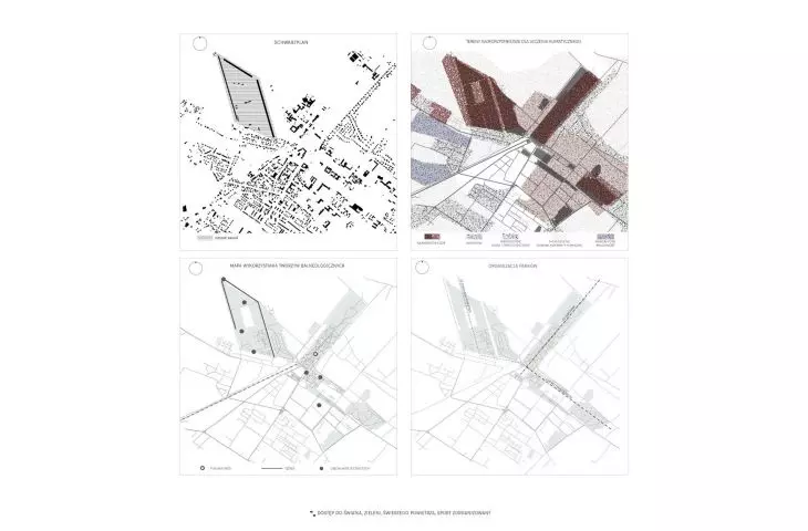 swartzplan, tereny najkorzystniejsze dla leczenia klimatycznego, mapa wykorzystywania tworzyw balneologicznych, organizacja parków 