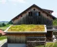 GalaProdukt also has ready-made modules for covering green roofs