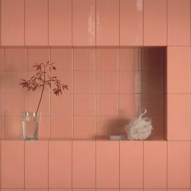 Warm terracotta color will give the interior a cozy feel