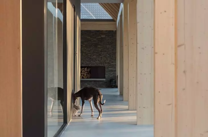 Four-legged residents of the house