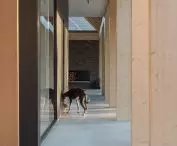 Four-legged residents of the house