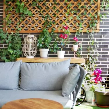 It is worth decorating the terrace with plants