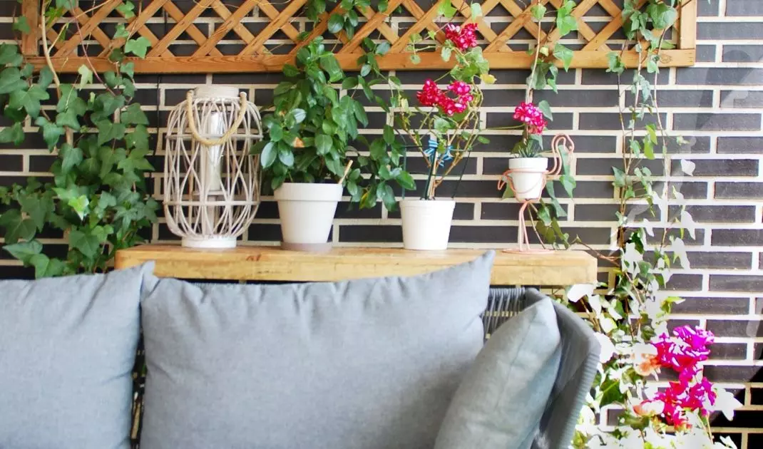 It is worth decorating the terrace with plants