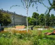 Arsenal City Hall Sports Square - benches and greenery