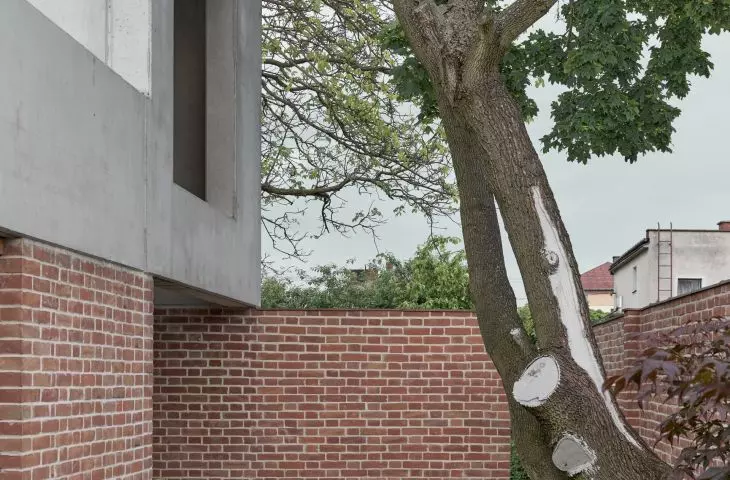 architekci uwzględnili w projekcie istniejące na działce drzewo