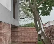 architekci uwzględnili w projekcie istniejące na działce drzewo
