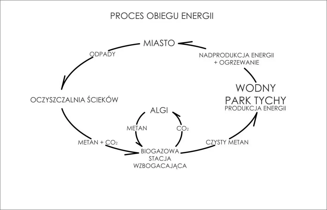 proces obiegu energii