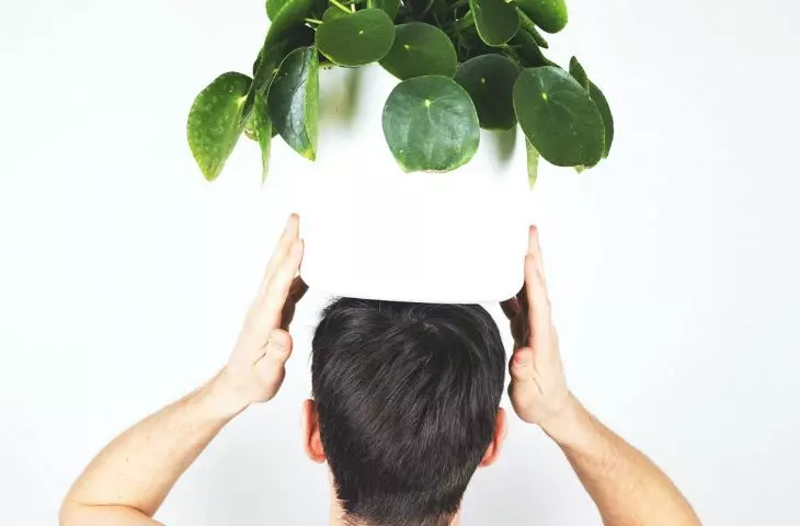 Transportation of plants