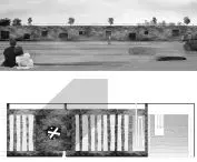 roof garden plan