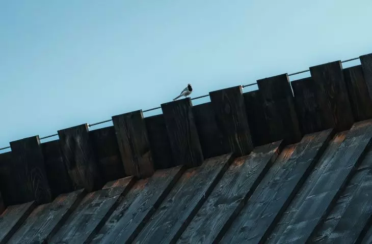 Settlement in Kościelisko, roof detail