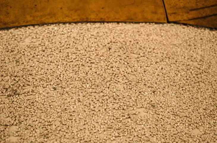 The walls of the oven were covered with real grain