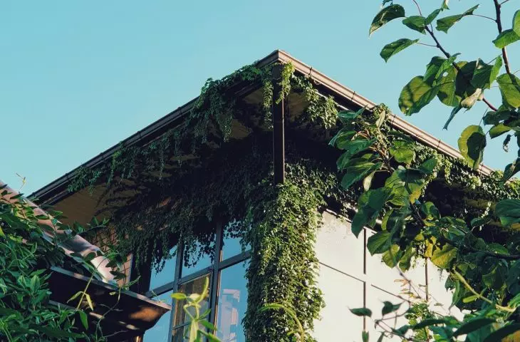 Solar control glazing in a modern building