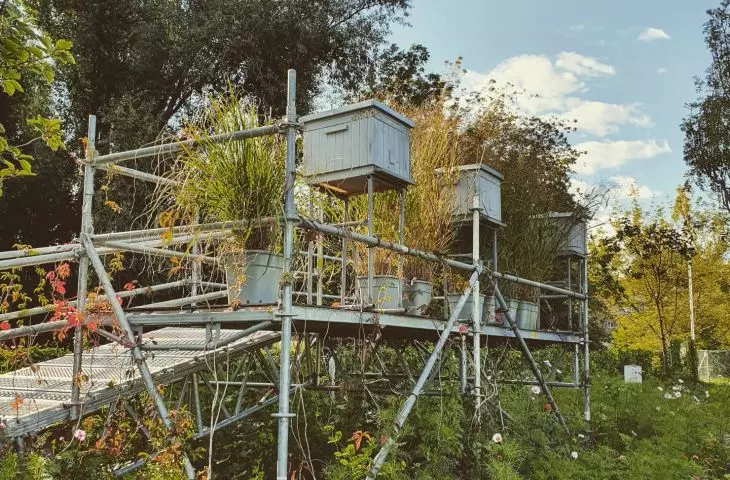 Upcycling apiary from construction scaffolding