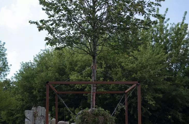 Ogród pokazowy — zarastanie