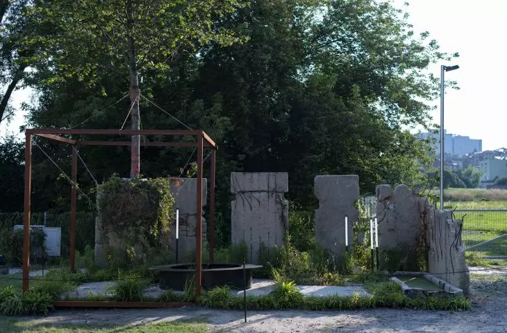Ogród pokazowy — zarastanie