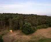 Nature observation furniture