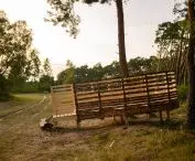 Nest project in the Gluszyn valley