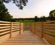 Nature observation furniture design