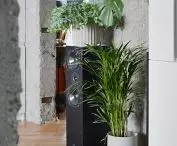 The rawness of the concrete is broken by the wooden floor and the ubiquitous plants