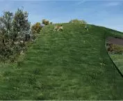 Widok panoramiczny na pawilon