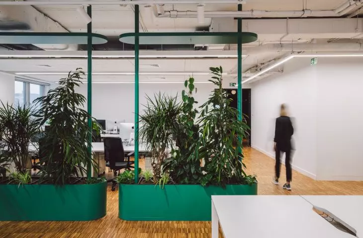 Architects introduced vegetation into the interiors