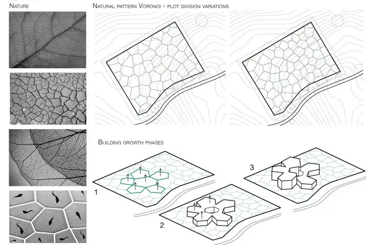 Design inspiration can be found in nature