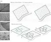 Design inspiration can be found in nature