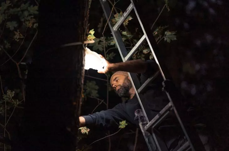 HUBS - unique lamps adapted to the forest space