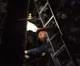 HUBS - unique lamps adapted to the forest space