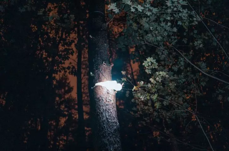 HUBS - unique lamps adapted to the forest space